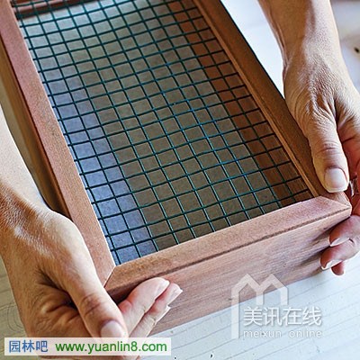 多肉植物墙艺术制作