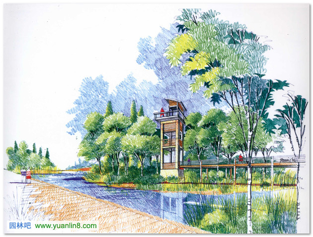 边界共生--沈阳浑河湿地公园