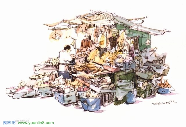 钢笔画要点与舞动的钢笔线条（组图）