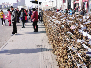 天津：千盆花卉枯萎 路人随手塞垃圾 花架沦为垃圾箱